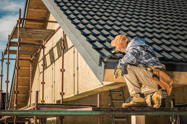 Roof Gutter Cleaning in Pierce City, MO